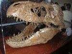 047_2009-0119-1137-56.jpg